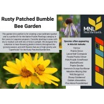 Rusty Patched Bumble Bee Kit