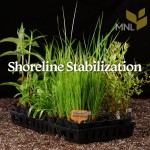 Shoreline Stabilization Kit  