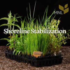 Shoreline Stabilization Kit  