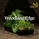 Woodland Edge Kit  
